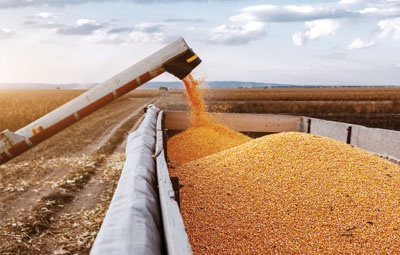 Agriculture